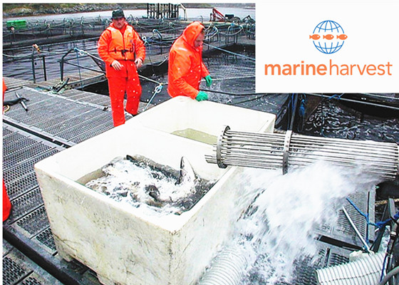 Marine Harvest